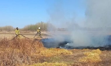 30 пожаров за полтора дня произошло в Павлодарской области