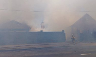 Крыши двух домов загорелись в Павлодаре