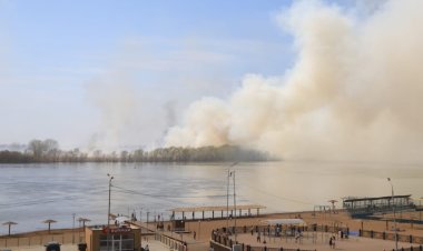 В пойме Иртыша в Павлодаре ликвидировали пожар