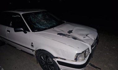 В ДТП с лошадьми попал автомобилист на павлодарской трассе