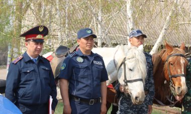Конные патрули помогут бороться с пожарами на дачах Павлодара
