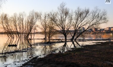 Жексенбі күні Павлодар облысында жаңбыр жауады