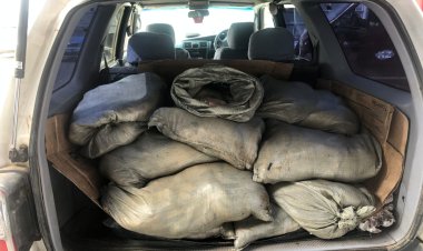 Экибастузца могут наказать за 12 мешков леща