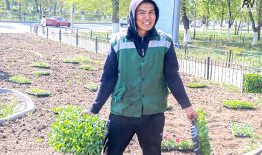 Однолетние цветы начали высаживать в Павлодаре