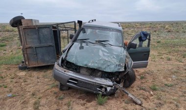 В ДТП в Павлодарской области погибла лошадь