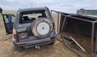 Павлодар облысында  тіркеме  жыраға аударылып, жылқы өлді