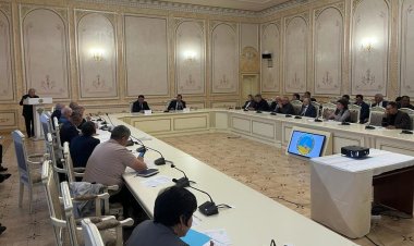 Каких специалистов не хватает в сельском хозяйстве Павлодарской области