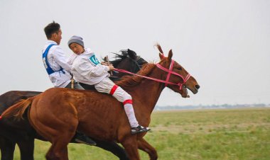 Аламан бәйге, тазы жарысы: Павлодар ауданының 95 жылдығы аталып өтті