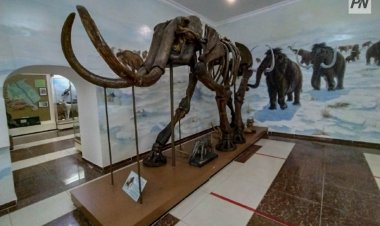 Ожившие исторические личности встретят павлодарцев на «Ночь в музее»