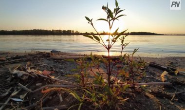 17 мамырда Павлодар облысында күн ашық болады