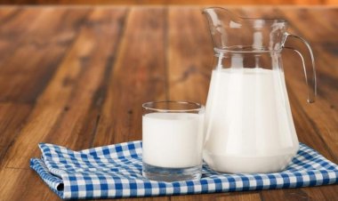 Павлодарда «Jailau» базарында сүт күнделікті сатылатын болады