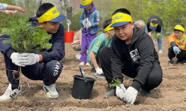 Павлодарлық оқушылар ағаш көшеттері мен гүлдер отырғызды