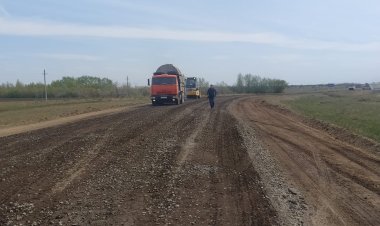 Тереңкөл ауданында алғаш рет мақсары егілді