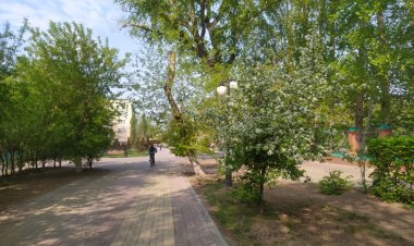 Сенбі Павлодар облысында жел соғады