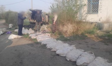 Алматылықтар Павлодар облысында бір тоннаға жуық балық аулады  деген күдікке ілінді