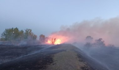 Камыш загорелся в пригороде Павлодара