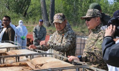 В Павлодарской области начался очередной этап борьбы с гнусом