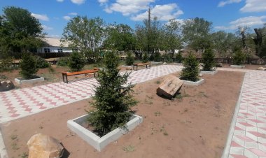 Аққулы ауданында ардагердің ұрпақтары саяжай салды