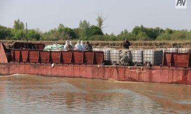 В Павлодарской области началась борьба с мошкой