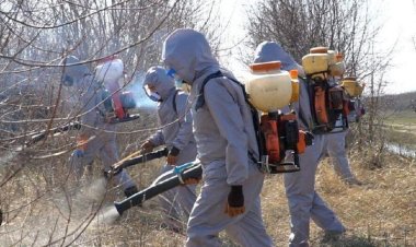 Павлодарда шыбын-шіркейге қарсы «ыстық» тұманмен өңдеу жүргізіледі