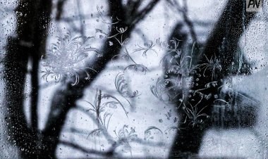 Батареялары жарылған тұрғын «Екібастұзжылуэнерго» ЖШС-н сотта жеңіп шықты