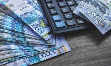 Казахстанцы будут платить за коммерческий сбор дикорастущих плодов