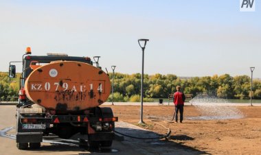 Павлодарда «Спорт Сити» шағын ауданына отырғызылған ағаштар жерсінді