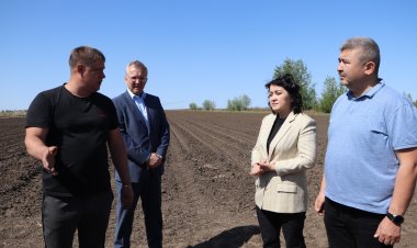 Аграрий в Павлодарском районе начал возделывать неиспользуемую землю