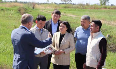 Биыл Павлодар облысында 400 мың га жуық пайдаланылмаған жерлерді қайтарылмақ