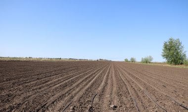 Павлодар ауданында ШҚ 400 га жуық жайылымдық жерден бас тартты