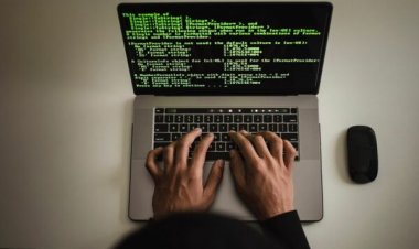 На Web3-хакатон пригласили жителей Павлодарской области