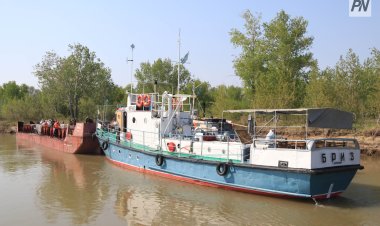 В речных протоках Павлодарской области начали травить гнус