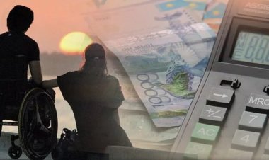 Мүмкіндігі шектеулі жандардың тұрмысын жақсартуға арналған ұлттық жоспар бекітіледі