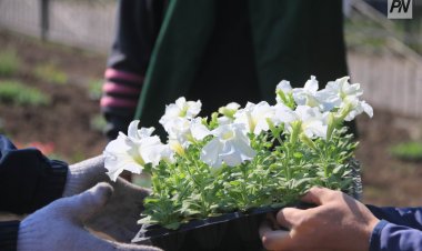 В ряды «Жасыл ел» приглашают молодежь Павлодарской области