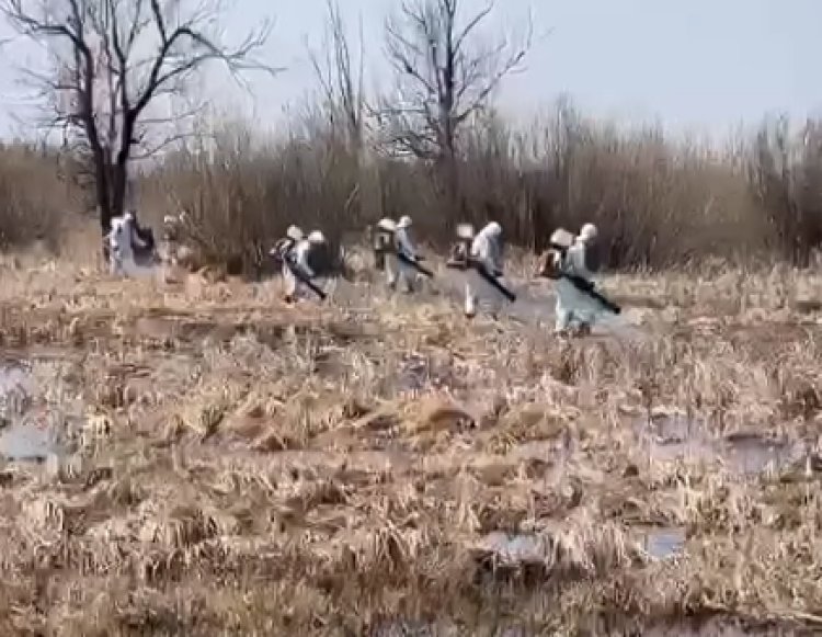 В Аксу провели обработку против гнуса