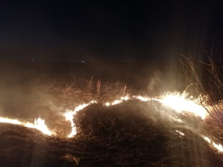 Степной пожар тушили в сельской зоне Аксу