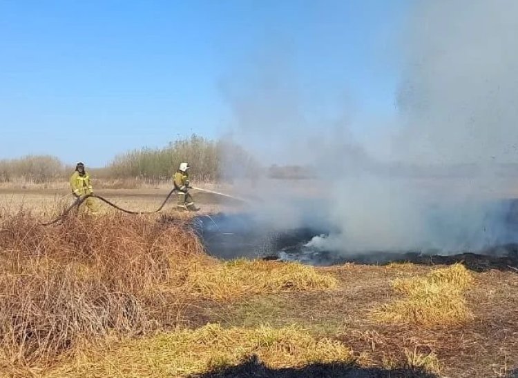 30 пожаров за полтора дня произошло в Павлодарской области