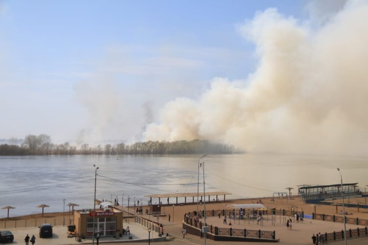 В пойме Иртыша в Павлодаре ликвидировали пожар