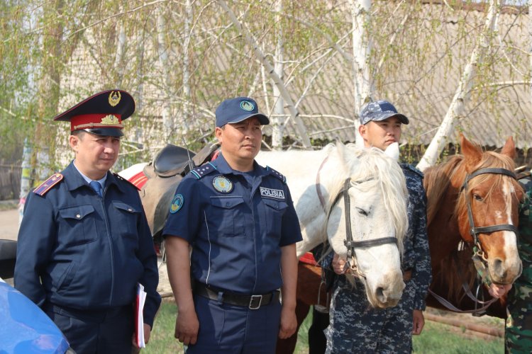 Конные патрули помогут бороться с пожарами на дачах Павлодара