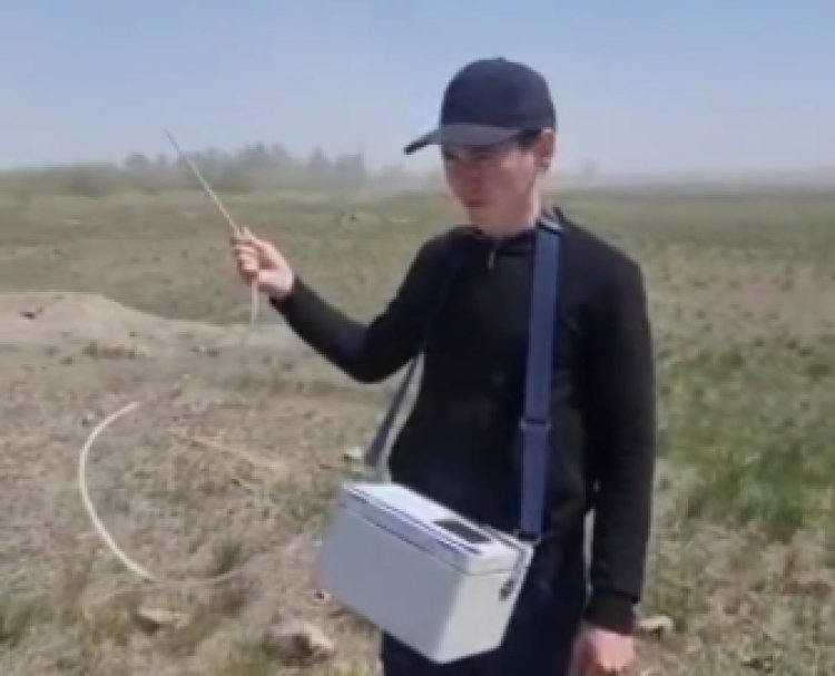 Экологи проверят уровень пыли вблизи золоотвала ТЭЦ-1 в Павлодаре