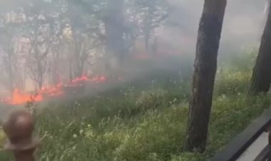 Павлодарда жағалауда өрт болды