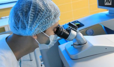 Павлодар облысында бит жұқтырғандар көбейген