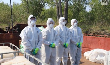 Причины для контроля популяции гнуса назвали биологи Павлодара