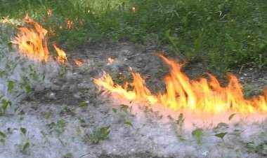 Трава и пух горели в Павлодаре