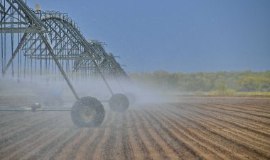 Более 40 хозяйств смогут орошать поля благодаря каналу Иртыш – Успенка