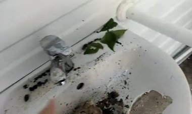 Ақсуда вандалдар қоғамдық дәретхананы қиратып кетті