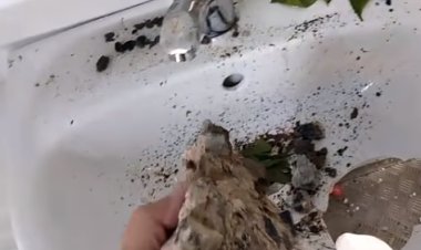 В Аксу вандалы разгромили общественный туалет (ВИДЕО)