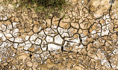 Превышен многолетний максимум температуры воздуха в Павлодарской области