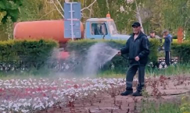 С утра до ночи будут поливать растения в Аксу и Экибастузе