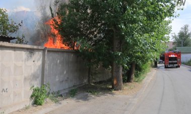 Трава и деревья загорелись в Павлодаре